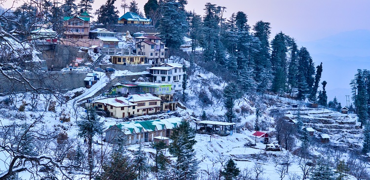 Best Places to Visit in Shimla in December|Rohru||Johnnie_Wax_Musuem|The Mall Road|The Scandal Point|kiala-forest|shimla-viceregal-lodge|Jakhoo Hill||The Ridge of Shimla