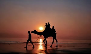 Best Places to visit near Ahmedabad in April with Family|Statue of Unity|Little rann of kutch|Zanzari Waterfall|Shanku’s Water Park|Indroda Nature and Dinosaur Fossil Park|Suvali Beach|Suvali Beach|Modhera Sun Temple|Lakshmi Vilas Palace|Nalsarovar Bird Sanctuary|Adalaj Stepwell