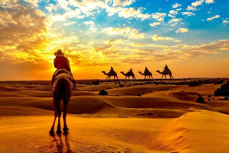 Best Places to visit near Jaisalmer|Camping in Khuri - Places to visit near Jaisalmer|Lodurva - Places to visit near Jaisalmer|Jaswant Thada in Jaisalmer|Khaba Fort - Places to visit near Jaisalmer|An Indian Fox spotted in the Desert National park near Jaisalmer|Khaba Fort - Places to visit near Jaisalmer
