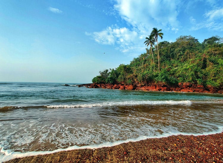 |||Kalpetta|Kumarakom|||||