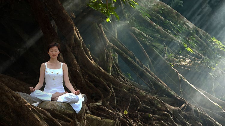 Kerala Ayurveda or Rishikesh Yoga Retreats: What Rejuvenates You?
