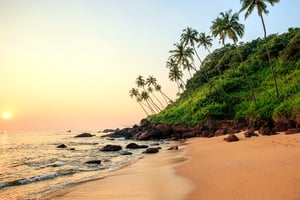 Cola Beach|Witness and play with the Dolphins in GOA|Take a tour of the backwater in Goa|Enjoy Sunset from Cruise|Practice Yoga with beautiful landscapes|Admire unique Portuguese architecture|Feel like Royalty strolling by UNESCO Heritage Sites|Enjoy a picnic at the untouched lands of Goa|Take a tour of the backwater in Goa
