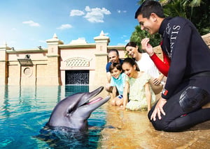 Dubai Dolphinarium