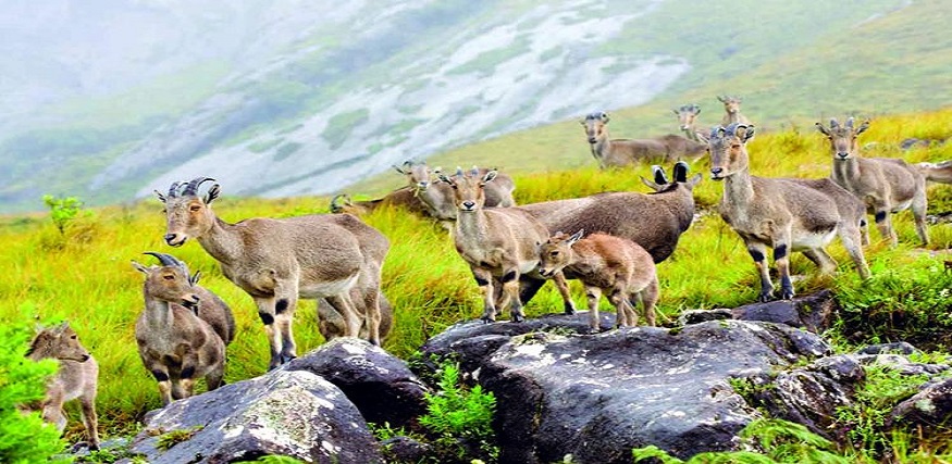 Explore the famous Wildlife-Sanctuaries|||||||||||||||