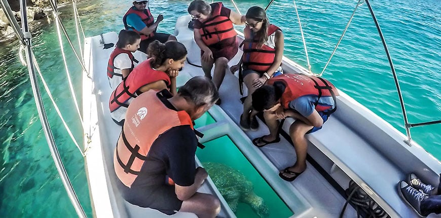 things-to-do-in-andaman||||||||||||Chidiya Tapu||||Aberdeen-Bazar|Barren-Island-Plateau|Beach-Nightout-at-Long-Island|Excursion-to-Parrot-Island|Explore-the-Twin-Islands-(Ross-and-Smith-Island)|Havelock-Island|Natural-Bridge-at-Neil-Island-(Shaheed-Dweep)|Saddle-Peak-National-Park|Sea-Shells-at-Kalapathar-Beach|Sippighat-Farm-Near-Port-Blair|Wandoor-Beach