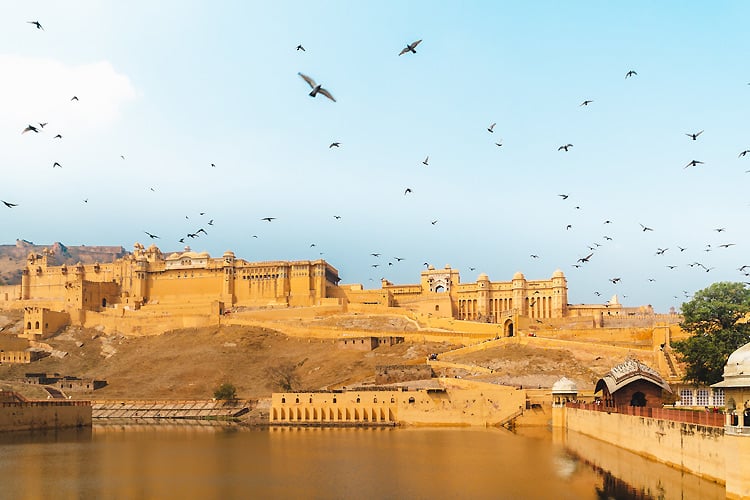 Explore Forts and Palaces|Chokhi-Dhani|Learn-Pottery-Jaipur|Explore Vibrant Shopping Market|Light & Sound show at Amber Fort|Visit Heritage Sites|Admire the Architecture of Patrika Gate