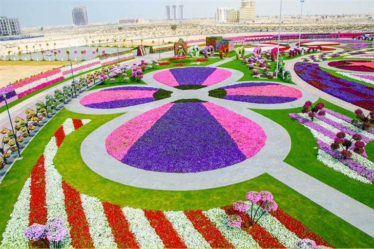 Dubai Miracle Garden|||