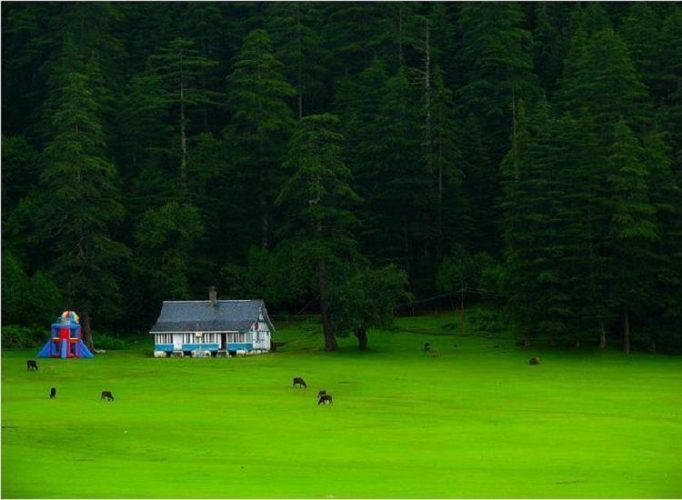 ||||Paragliding at Bir Billing||River Rafting in Manali|||||Hidimba Devi Temple||||