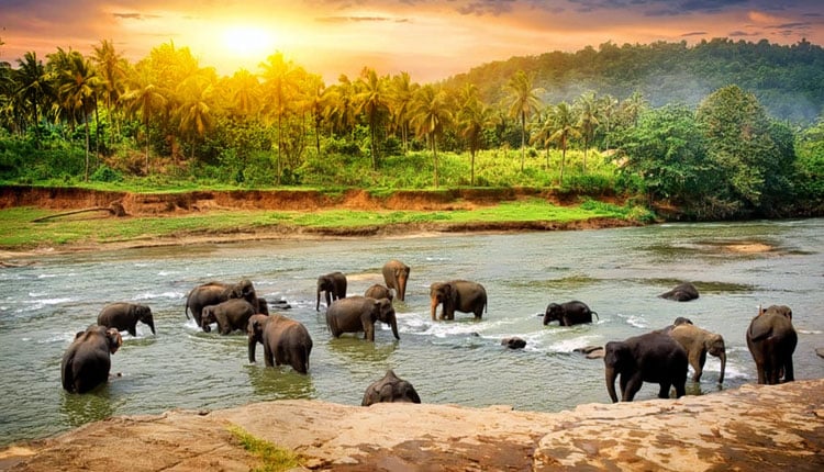 tourist-places-in-idukki|Idukki-Arch-Dam|Idukki-Wildlife-Sanctuary|Ilaveezha-Poonchira|Ramakkalmedu|Mangala-Devi-Temple|keezharkuthu-falls|Vandanmedu|Kalvari-Mount-Calvary-Mount|Thommankuthu-Waterfalls|Kalvari-Mount
