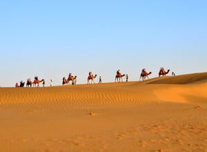 |Cultural-Experiences|Desert-adventure|Jaisalmer-The-Golden-City|Jaisalmer-Fort|JodhpurThe-Blue-City|Mehrangarh-Fort|