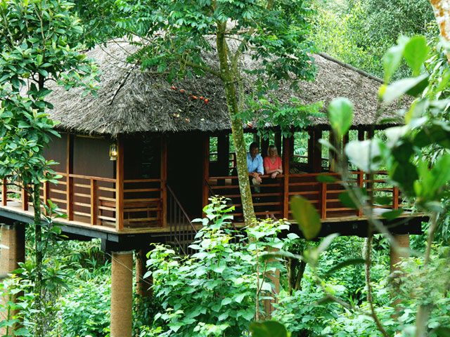 |Kerala Backwater||Munnar Tea Plantations|Ayurveda couple Massage|Chembra Peak|Athirappilly Falls|Spice Plantation Walk in Kerala|Kerala Beach Resorts|Amusement Park in Kerala