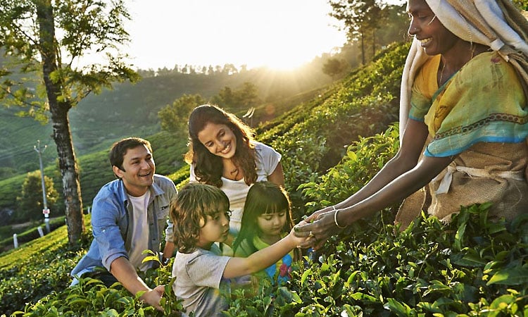 places-to-visit-in-kerala-with-family|places-to-visit-in-kerala-with-family-kottayam|places-to-visit-in-kerala-with-family-kovalam|places-to-visit-in-kerala-with-family-kozhikhode|places-to-visit-in-kerala-with-family-munnar|places-to-visit-in-kerala-with-family-Poovar-Island|places-to-visit-in-kerala-with-family-thekkady|tplaces-to-visit-in-kerala-with-family-thrissur|places-to-visit-in-kerala-with-family-alleppey|places-to-visit-in-kerala-with-family-wayanad|places-to-visit-in-kerala-with-family-kochi