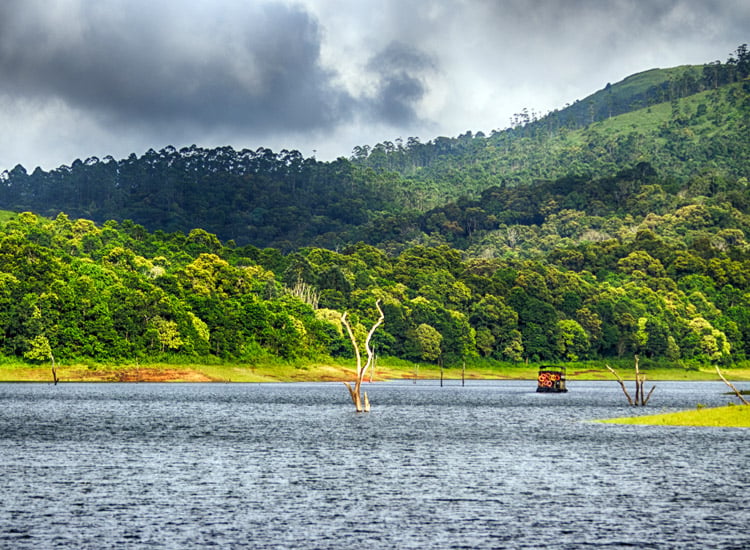 Kerala’s-Hidden-Wonders-A-Photographer’s-Guide-To-Capturing-The-State’s-Beauty|Kerala’s-Hidden-Wonders-A-Photographer’s-Guide-To-Capturing-The-State’s-Beauty|Idukki||Thiruvananthapuram||Wayanad