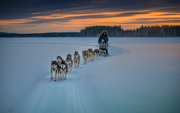 Lapland||Matanuska Glacier|Auli is a beautiful winter destination nestled in the lap of the Himalayas|Lake Bled|Whitefish|lake-bled-snow-slovenia|Narkanda|aviemore winter|Abisko