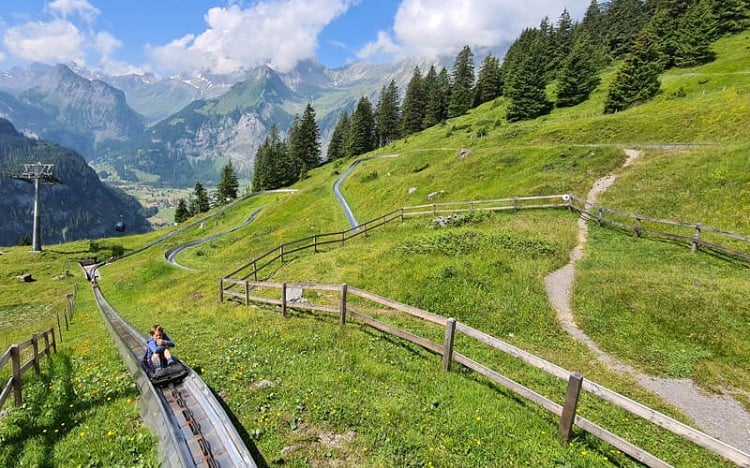 Hop On 11 Best Mountain Coasters In Switzerland