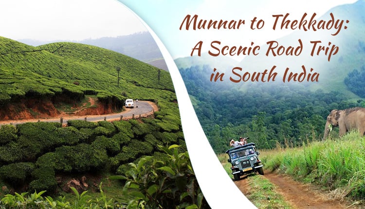 Munnar-to-thekkady-by-road|places-to-visit-in-munnar|places-to-visit-thekkady