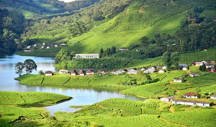 Munnar-Kerala