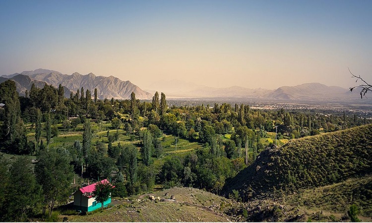 |Barot