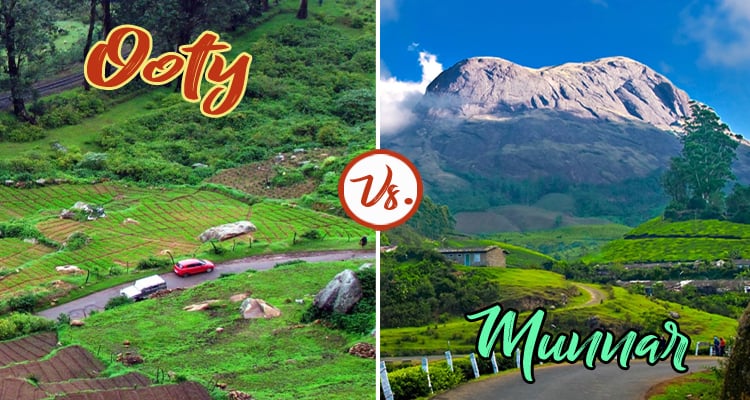Ooty-vs-munnar-which-one-you-choose|ooty-2021|munnar-2021|how-to-rear-ooty|how-to-rear-munnar|Ooty-vs-munnar--2|Ooty-and-munnar|ooty-vs-munnar-find-out-interest|ooty-to-munnar-distance-by-road|ooty-or-munnar|travel-tips-ooty-vs-munnar