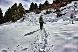 Prashar Lake Trek in Winter||
