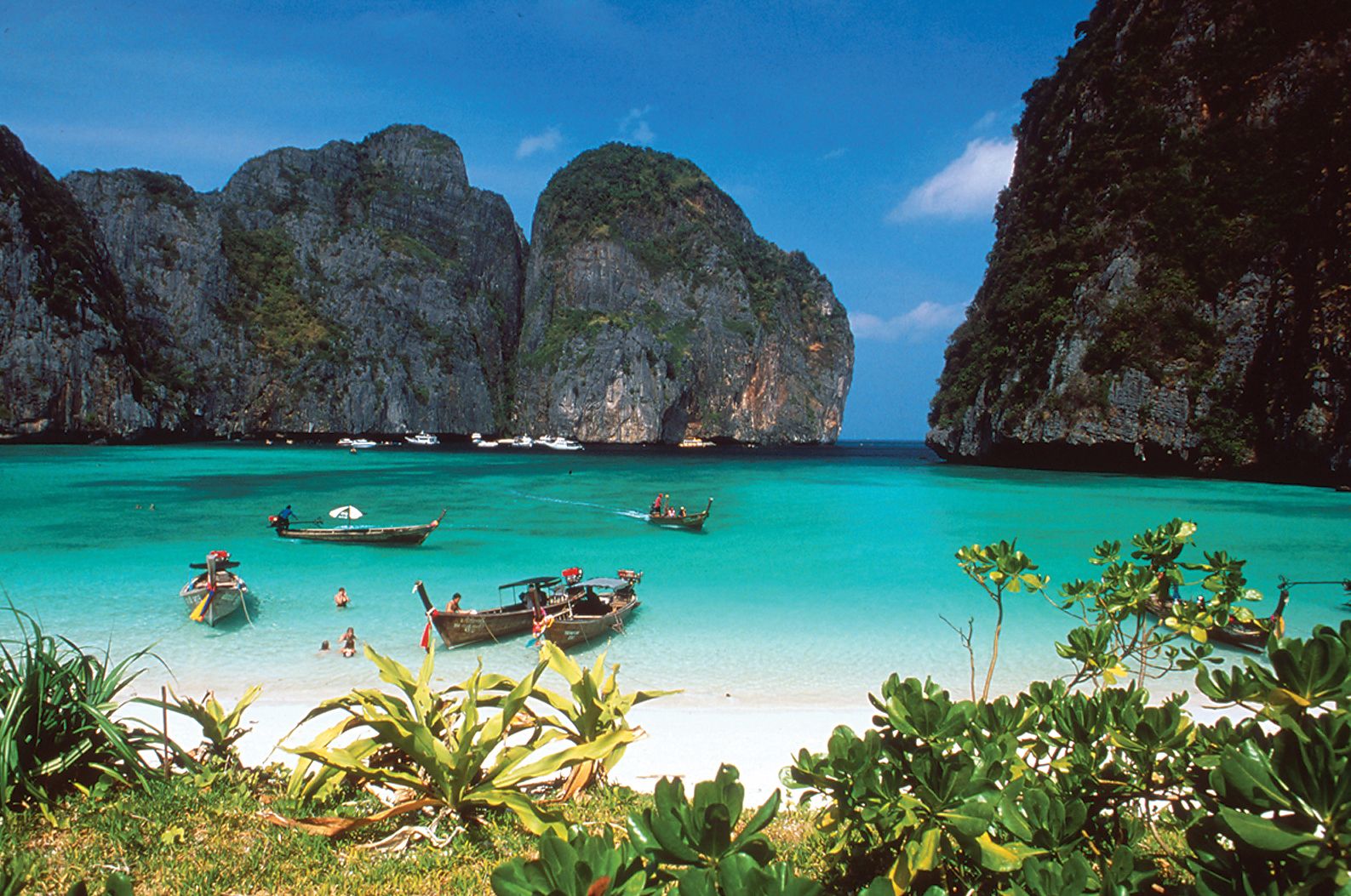 |honeymoon destination in Thailand|Top Honeymoon Destination in Thailand|Honeymoon Destination|Bangkok- Best Honeymoon Destination in Thailand||Honeymoon destination in Thailand|Koh Samui in Thailand