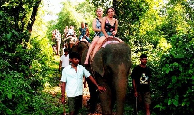 Spice-Plantation|Butterfly-Conservatory-Ponda|Crab-Catching-Trip|Stay-in-a-village-of-Goa|Embark on Island hopping|Enjoy-Dolphin-Viewing|Eerie Feel at the Devil’s Canyon|Explore the Caves in Goa|Ruins-of-Cabo-De-Rama|Kayaking--in-the-Goan-Backwaters|old-Latin-quarters-of-Panjim|Boating-on-Lake-Mayem||||||||||||