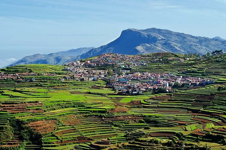 Theni|Kotagiri|Valparai|Valparai|Javadi Hills|Tharangambadi|Sirumalai|Pollachi