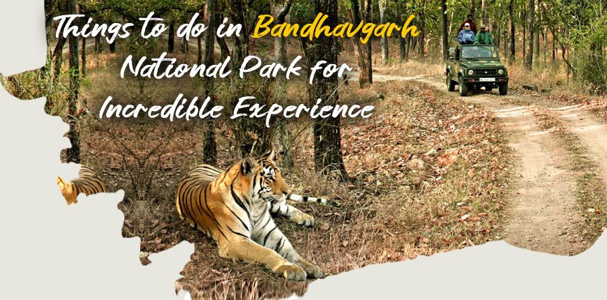 Things-to-do-in-Bandhavgarh-National-Park-2022|Jungle-Safari|bird-watching|Explore-Tala-Village||nature-sightseeing|Three-Caves|Walking-Trails-and-Visit-Villages|Shesh-Shaiya|bandhavgarh-fort|badi-gufa-bandhavgarh|bandhavgarh-fort-2022