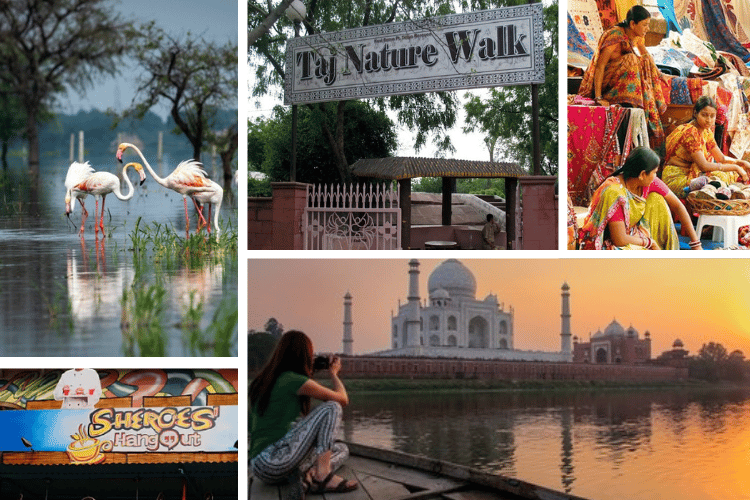 Beyond Taj: Offbeat Things To Do In Agra To Truly Enjoy Your Visit|Taj Nature Walk|Learning cooking from the locals is one of the best things to do in Agra|Keoladeo Ghana National Park|Sheroes Hangout Cafe|One of the things to do in Agra is boating in Yamuna River|street food of Agra|Watching Light & Sound show at Agra Fort is a great thing to do in Agra|One of the favourite things to do in Agra among tourists is shopping|