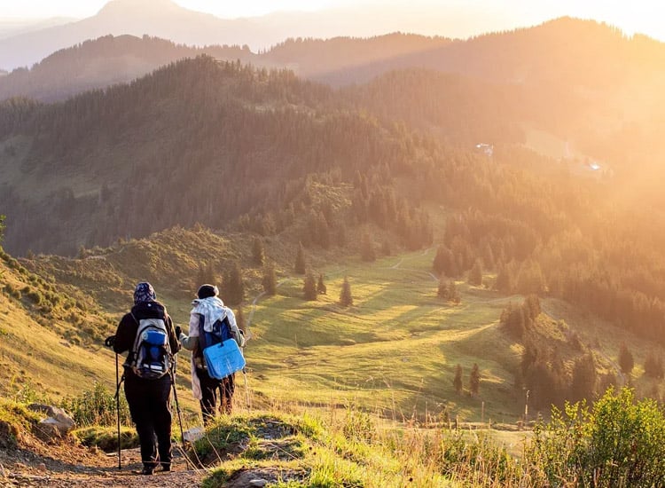 Trekking-The-Western-Ghats-Kerala’s-Adventure-Trails-Will-Take-Your-Breath-Away|Agasthyakoodam-Trek-in-Thiruvananthapuram||||Paithalmala-Trek-in-Kannur|