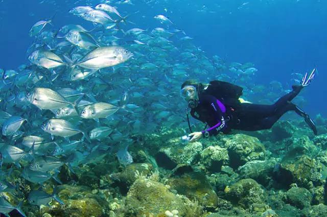 27 Amazing Things to Do in Bali That You Must Know