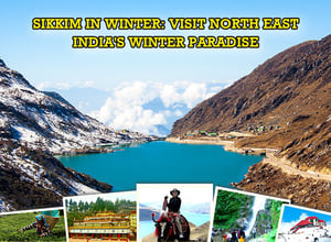 Best Places to Visit and Things to do in Sikkim in Winter|Gurudongmar Lake|Tsomgo Lake|Nathula pass||Rumtek Monastery|sikkim festival|Trek to Dzongri La|yak ride in gangtok|sikkim nightlife||shopping