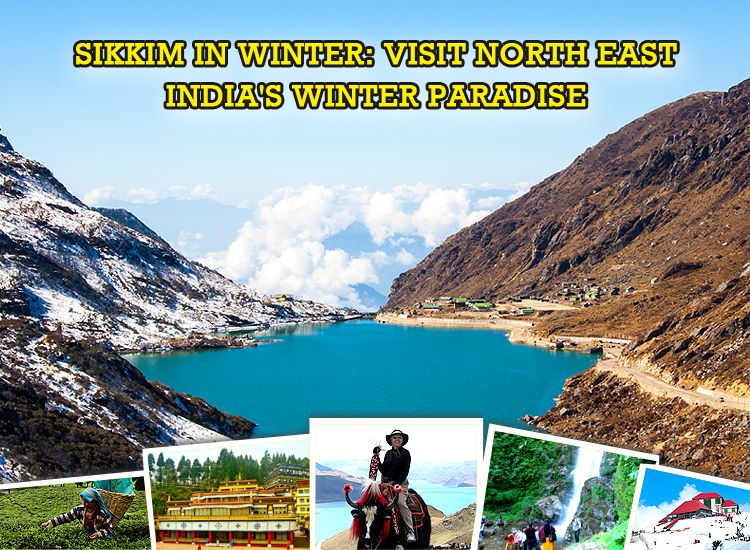 Best Places to Visit and Things to do in Sikkim in Winter|Gurudongmar Lake|Tsomgo Lake|Nathula pass||Rumtek Monastery|sikkim festival|Trek to Dzongri La|yak ride in gangtok|sikkim nightlife||shopping