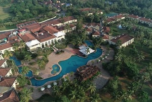 The Zuri