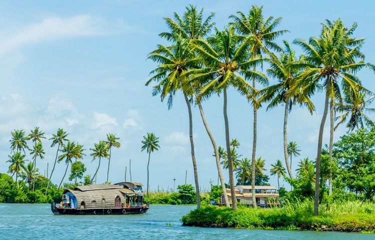Best Places to Visit in Kerala in March|Attukal-pongala-thiruvananthapuram