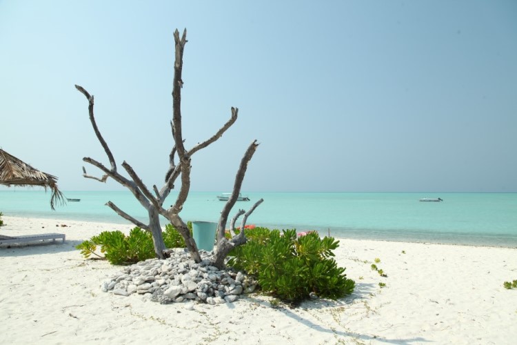 best-places-to-visit-in-lakshadweep-in-april|Thinnakara Island|Bangaram Island |Kalpeni Islands|