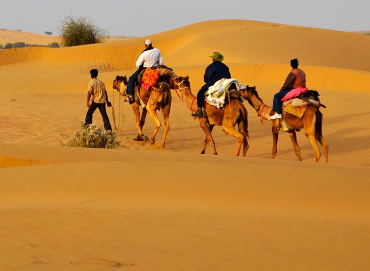 Rajasthan Rendezvous- The Land of Royal Pleasures