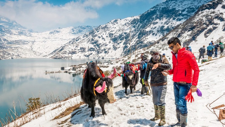10 Reasons Why Visit Darjeeling & Gangtok are perfect for your Honeymoon|tea garden|Tiger Hill|rumtek monastery|||yak rides|shopping at the MG road|Tsomgo Lake|cable car ride|Natural beauty|peace pagoda|tiger hill darjeeling|tea garden darjeeling|tiger hill darjeeling