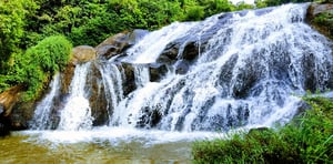 waterfalls-in-tamil-nadu|Aagaya-Gangai-Waterfall-in-Namakkal-District|Catherine-Falls-in-Nilgiris-District|Courtallam-Falls-in-Tenkasi-District|Hogenakkal-Waterfalls|Kiliyur-Falls-in-Yercaud-District||Kumbakkarai-Falls-in-Theni-District|Monkey-Falls-in-Coimbatore-District|Suruli-Falls-in-Theni-District|Thalaiyar-Falls-in-Dindigul-District|Thirparappu-Water-Falls-in-Kanyakumari-District