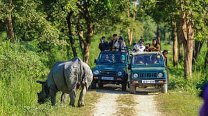 |Ranthambore-National-Park||Bandhavgarh-National-Park|Sundar-Ban-National-Park|Periyar-National-Park|Corbett-National-Park