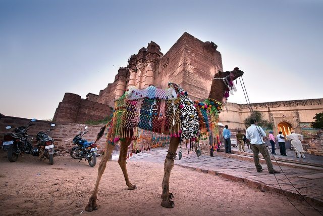 Top 6 Places to Visit in Rajasthan in Winter