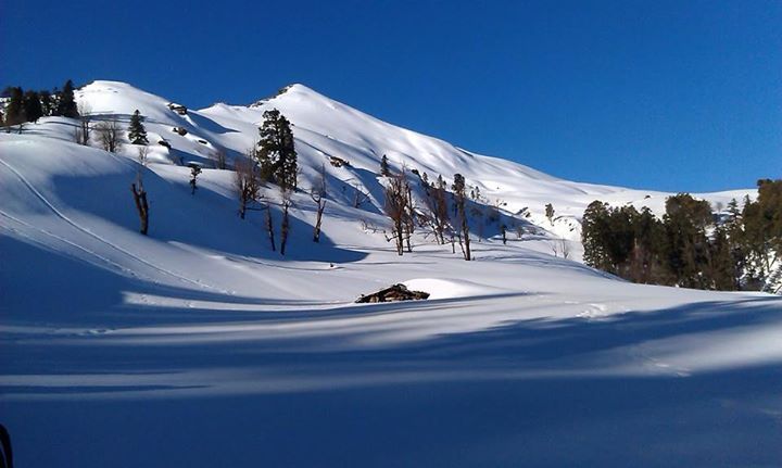 Kedar Kantha: Winter Treks in India|||nainital|Leh Ladakh