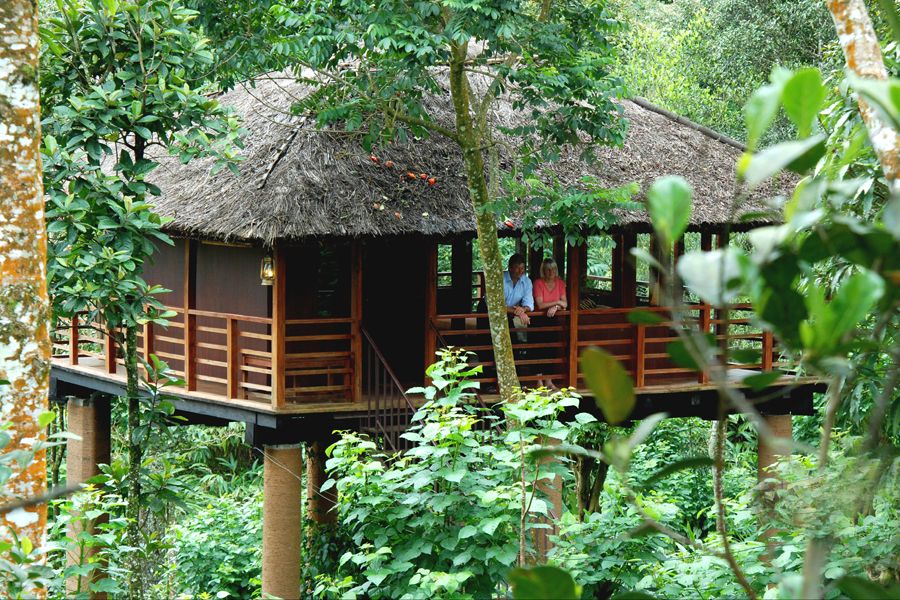 Vythiri Resort