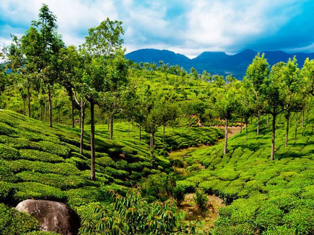 |Arunachal Pradesh|Mount Abu Hill Station in Rajasthan|Jammu and Kashmir Tour|Sikkim in North india|Meghalaya in northindia|McLeod Ganj|Ladakh Tour|Rishikesh|Cherrapunji|Nainital|Arunachal Pradesh|Sikkim|Ladakh|Shikara Ride Kashmir|Leh Ladakh|Mc-loead Ganj Himachal Pradesh|Boating In Mount Abu|Naini Lake Nainital|Water Rafting Rishikesh