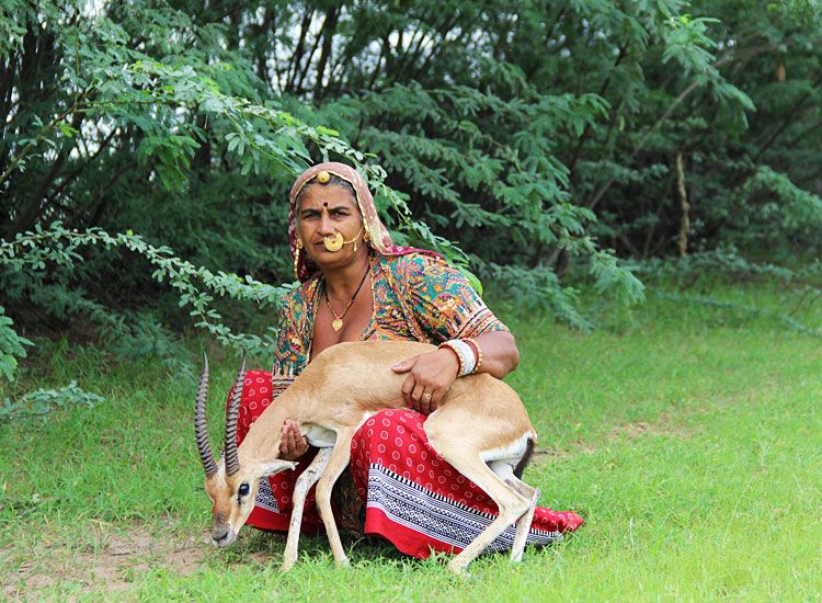Connection with Nature|History of Bishnoi Village in Images|Culture of Bishnoi Village|Jeep-safari