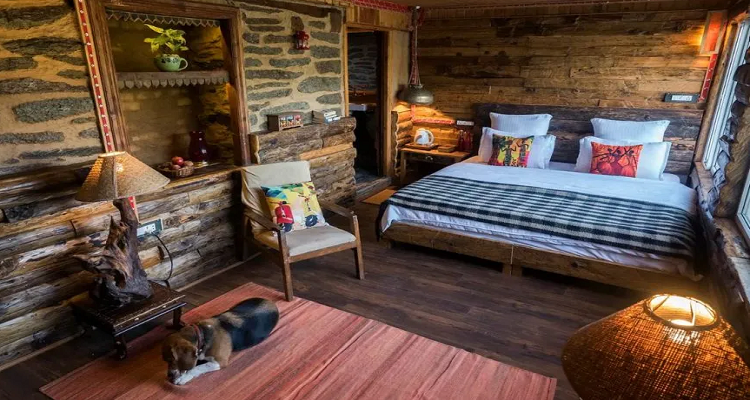 pet friendly hotel in mussoorie|Country Inn in mussoorie|larisa resort mussoorie|the brigadiers cottage mussoorie room||Jharipani Castle|Sundays Forever|A Dog’s Story Mussoorie Foothills with dog|The Savoy Mussoorie|saiva hill resort mussoorie|Hustlers-Den-mussoorie
