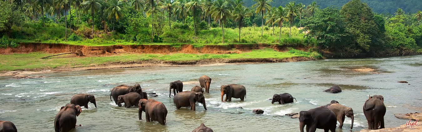Sri Lanka 7 days Tour Package