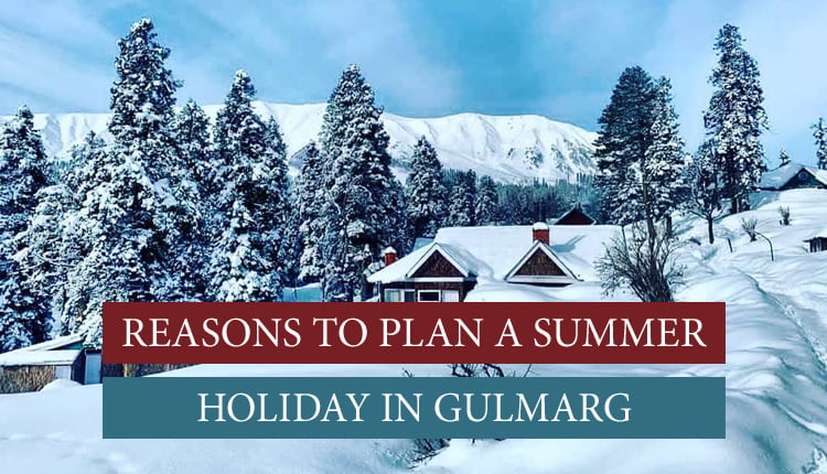Summer holiday in Gulmarg|Nagin Valley|Ningle Nallah|Strawberry valley||Khilanmarg in Gulmarg||Golf Course|Biosphere Reserve|Alpather Lake|Children's Park in Gulmarg|Baba Reshi Shrine|Ningle Nallah|Lien Marg in Gulmarg|Kanchenjunga Museum