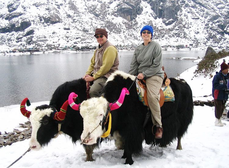 yak rides|Labrang Monastery|Toy Train Ride|Tawang Monastery|Places to visit in India in Winter|Ward's Lake|Eco Park|Thalon cave|Loktak Lake|Sangai Festival|folk dance|Kaziranga National Park|Japfu Peak and Dzukou Valley||Dzukou Valley||The living root bridges of Meghalaya|Majuli