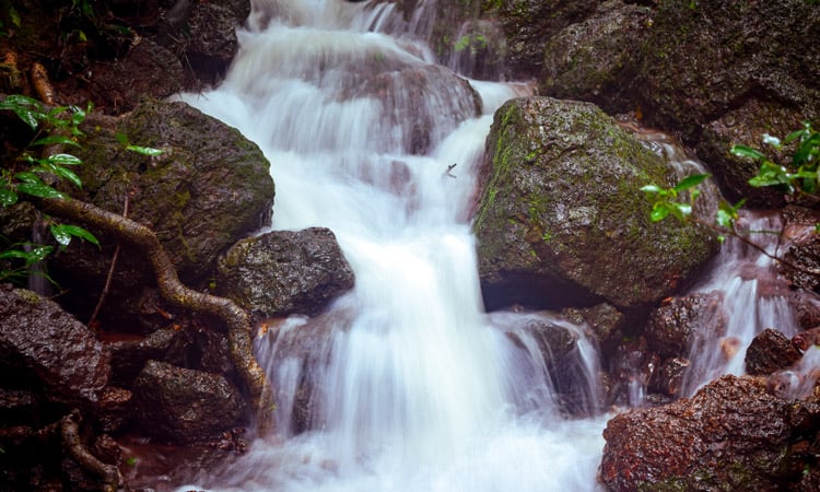Attukal Waterfalls